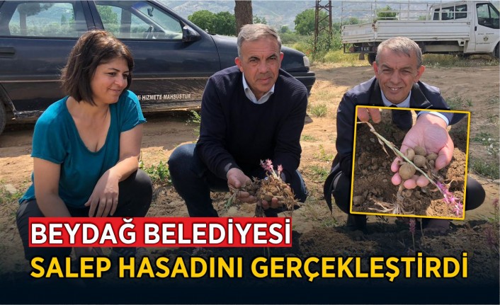 Beydağ Belediyesi Salep Hasadını Gerçekleştirdi